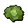 Cabbage