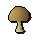 Bittercap mushroom